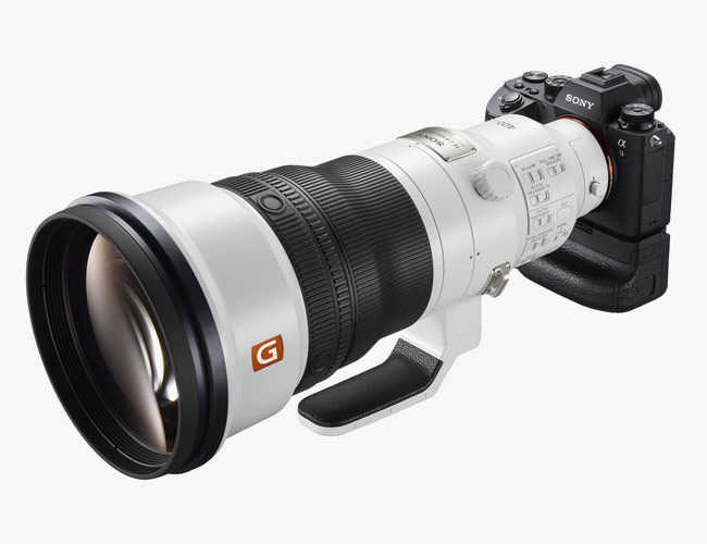 Sony’s Super-Telephoto Lens Is the Ultimate Weapon for Wildlife Photographers