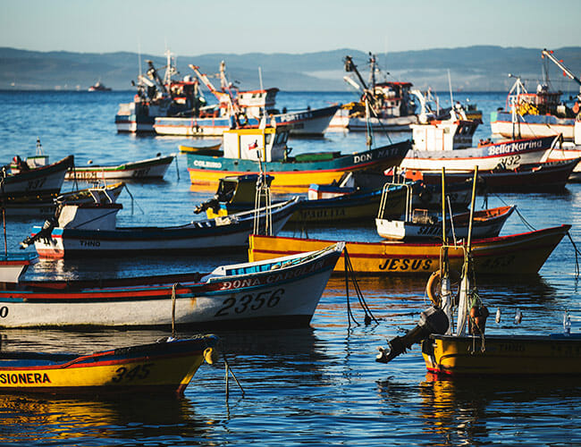 Your Flashy New Gear Might Be Made of Crusty Old Fishing Nets