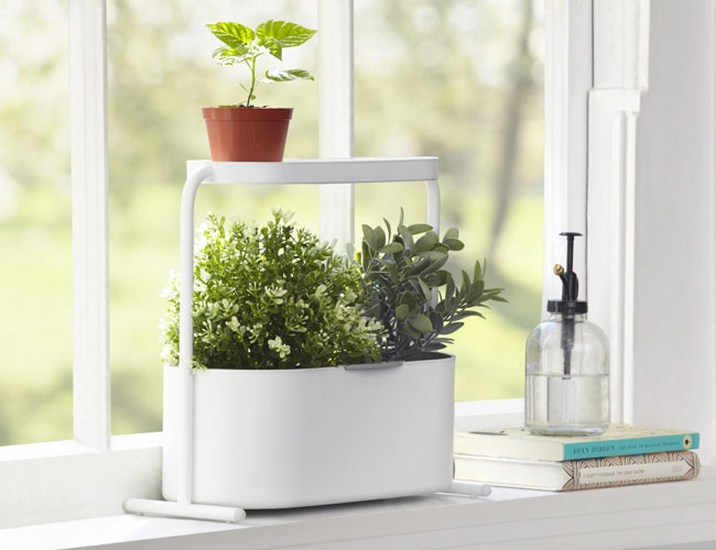 Umbra’s New Kitchen Herb Garden Is Tiny and Idiot-Proof