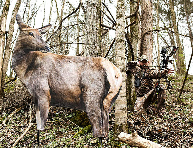 The Best Gear for Elk Bowhunting, According to Pro Hunters