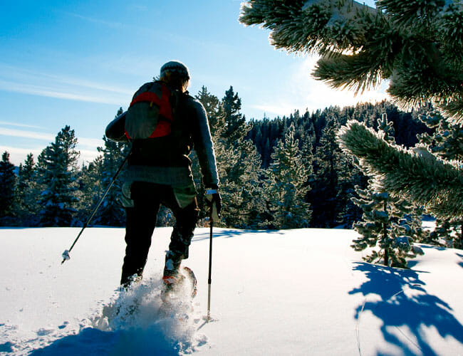 The Best Pants for Winter Hiking