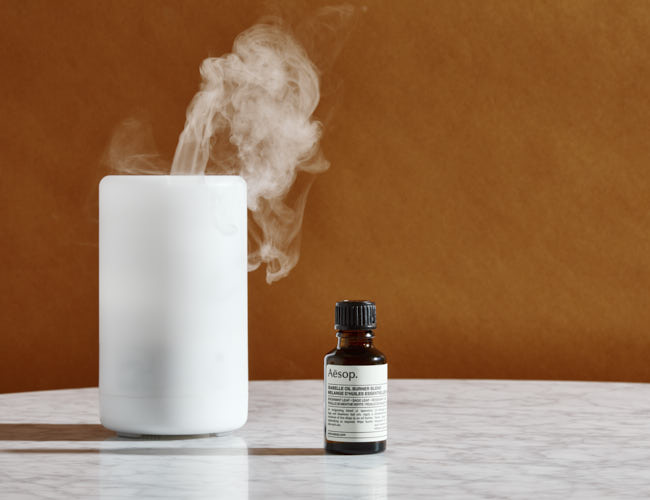 5 of the Best Essential Oils to Put in Your Diffuser