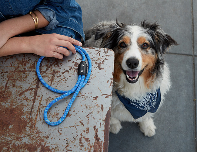 This Might Be the Most Badass Dog Leash Ever Made
